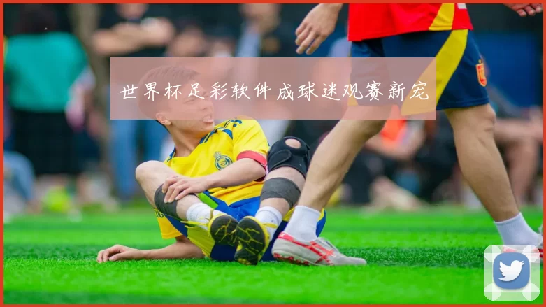 世界杯足彩软件成球迷观赛新宠
