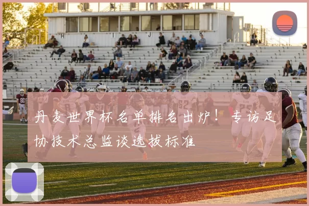 丹麦世界杯名单排名出炉!专访足协技术总监谈选拔标准