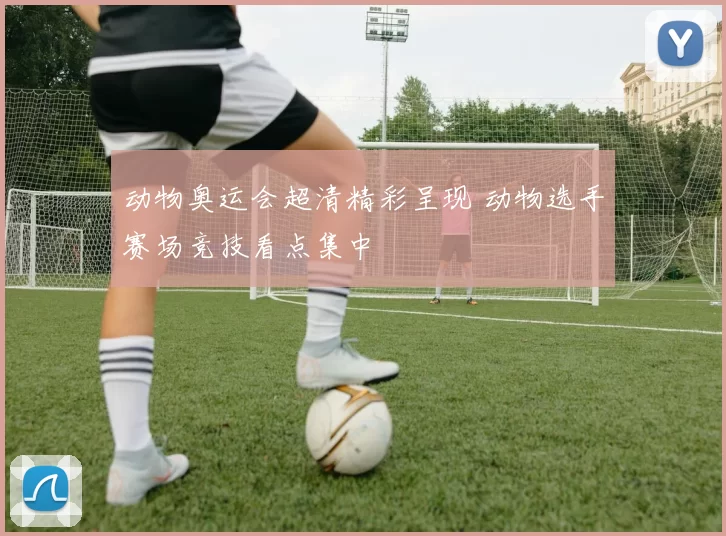 动物奥运会超清精彩呈现 动物选手赛场竞技看点集中