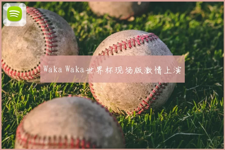 Waka Waka世界杯现场版激情上演