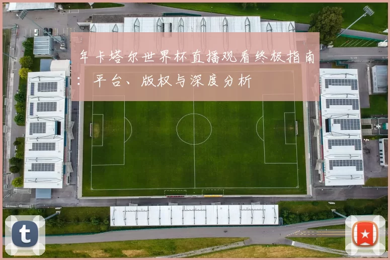 年卡塔尔世界杯直播观看终极指南：平台、版权与深度分析