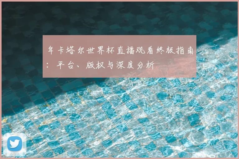 年卡塔尔世界杯直播观看终极指南:平台、版权与深度分析