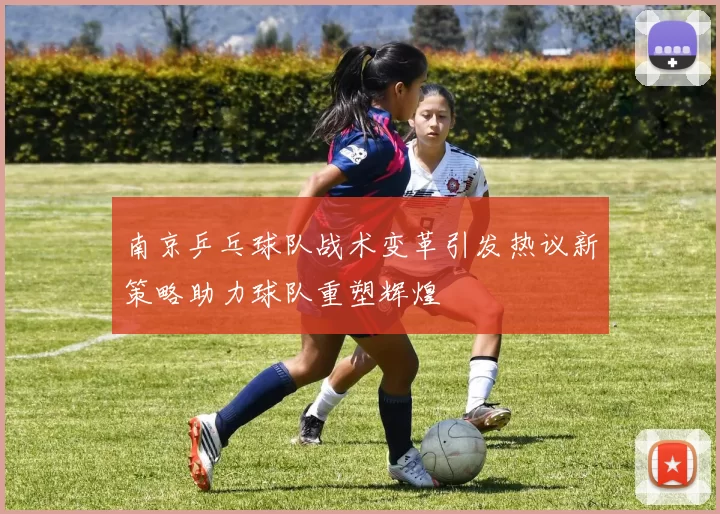 南京乒乓球队战术变革引发热议新策略助力球队重塑辉煌