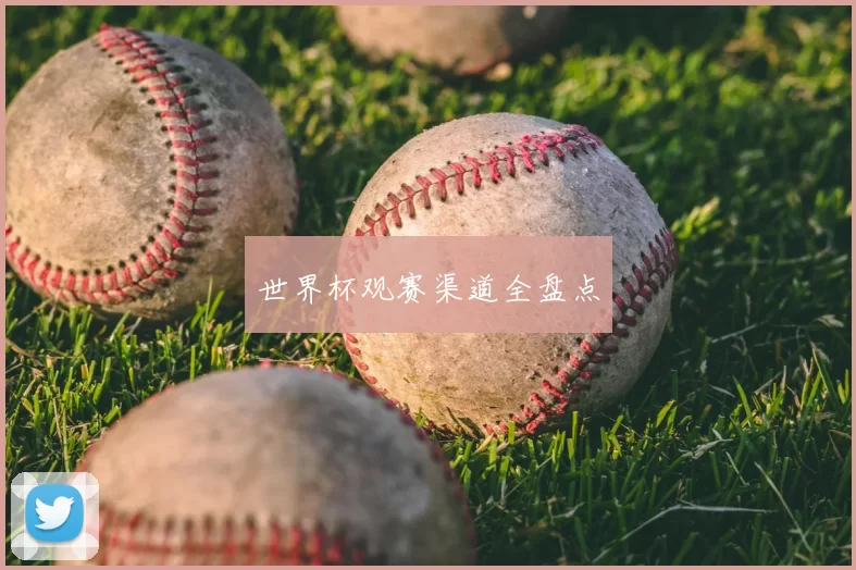 世界杯观赛渠道全盘点
