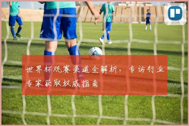 世界杯观赛渠道全解析，专访行业专家获取权威指南