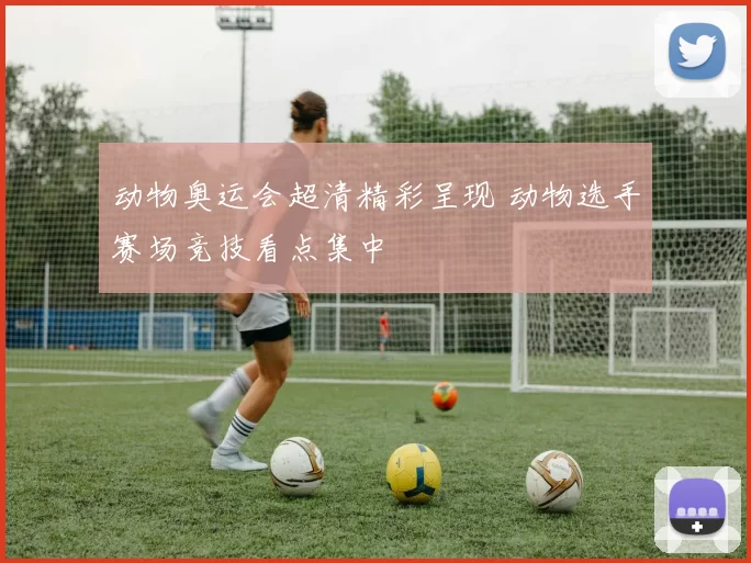 动物奥运会超清精彩呈现 动物选手赛场竞技看点集中