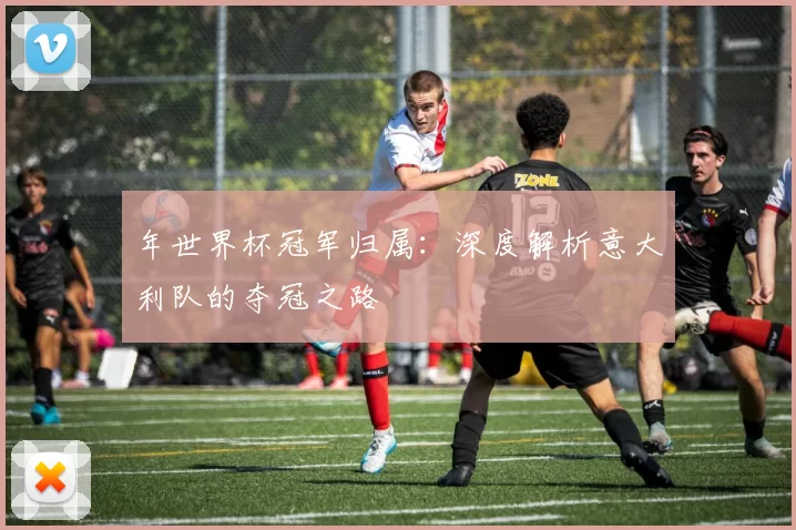 年世界杯冠军归属：深度解析意大利队的夺冠之路