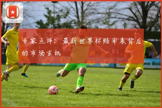 专家点评:最新世界杯赔率表背后的市场玄机