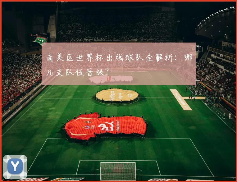 南美区世界杯出线球队全解析:哪几支队伍晋级?