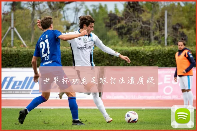世界杯功利足球打法遭质疑