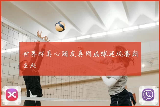 世界杯真心朋友真网成球迷观赛新去处